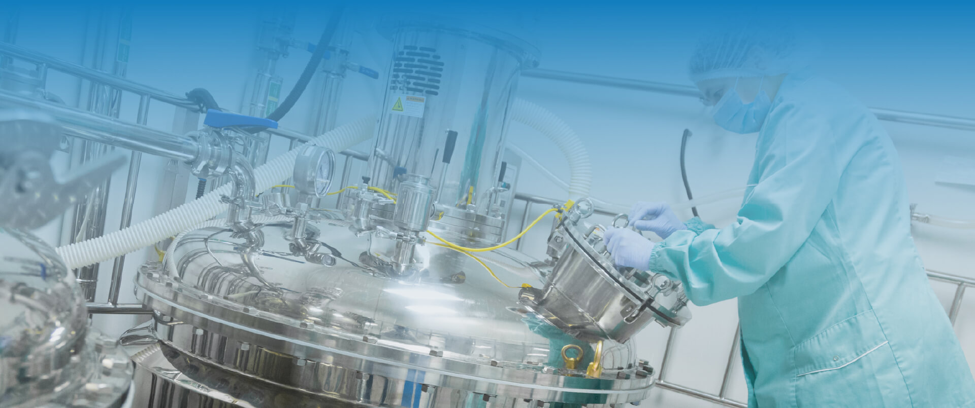 Cell Culture Solutions - Creative Bioarray