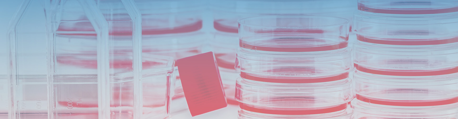 Vero Cell Culture Media Creative Bioarray