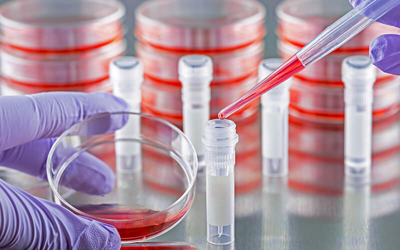 Research Grade Cytokines
