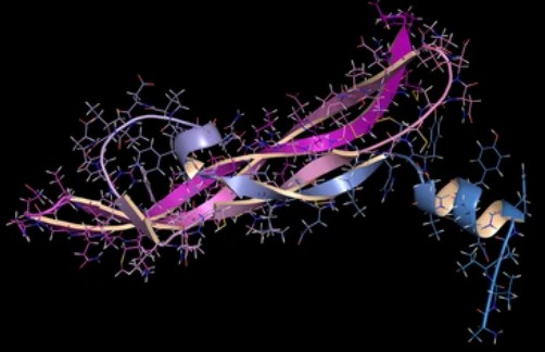 Vascular Endothelial Growth Factor (VEGF)