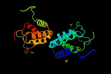 Hematopoietic Cytokines