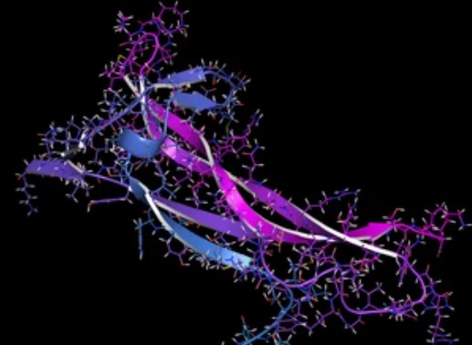 Neurotrophic Factors