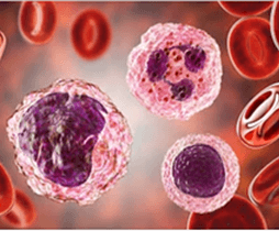 Blood Cell Isolation and Culture Services