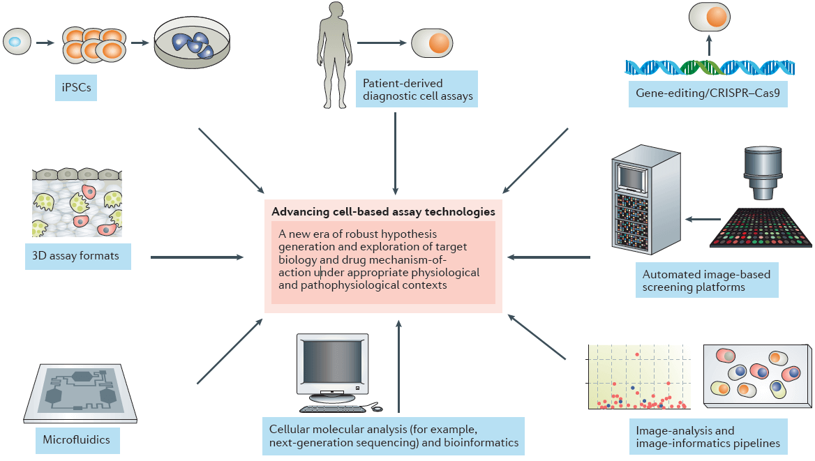 Figure 1. Ex vivo CNS drug discovery pipeline (Lago S G, et al., 2019)