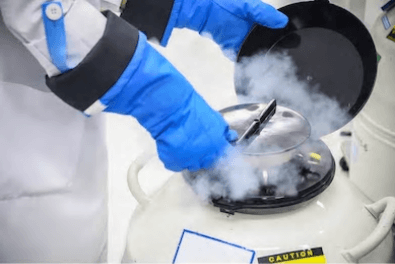 Cell Cryopreservation Services