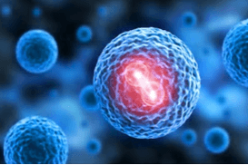 3D Cell Culture Services