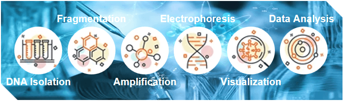 Fig 2. Flow chart of cell fingerprint analysis service. - Bio-microarray