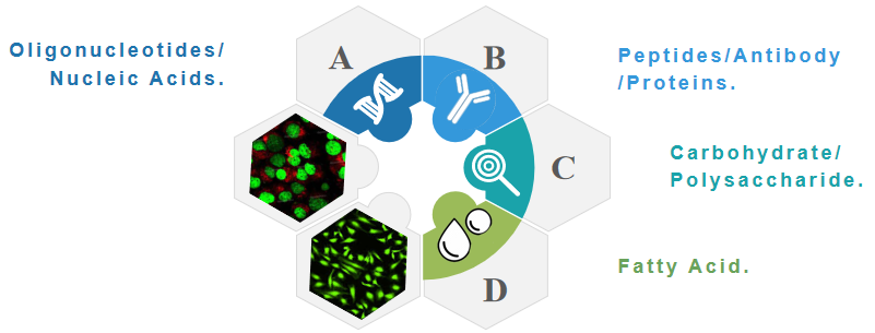 Types of labeled molecules available. 