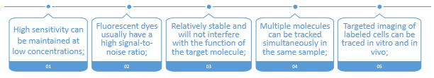 The advantages and features of Creative Bioarray's cell fluorescent labeling service.