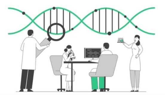 Cell Gene and Plasmid Copy Number Detection Services