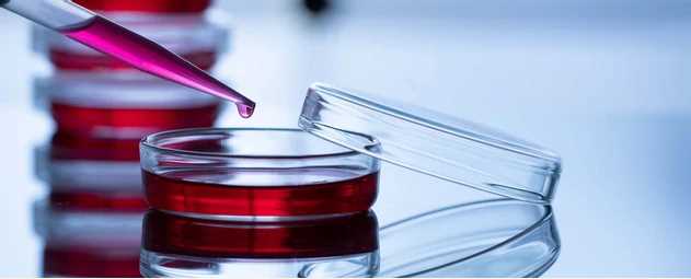 Cell Line Characterization Services