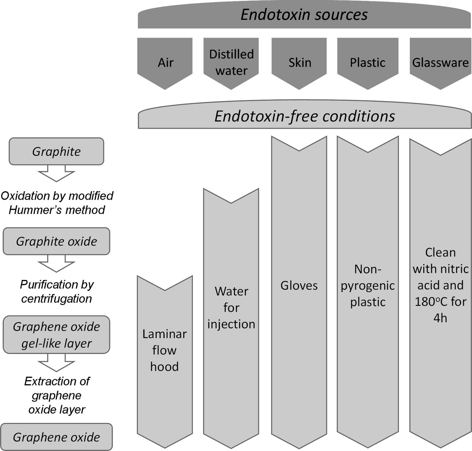 Figure 2. Flow chart depicting the main endotoxin sources identified in the preparation of GO by Hummer's method and guidelines for endotoxin-free conditions for the production of GO samples. (Mukherjee S P, et al., 2016)