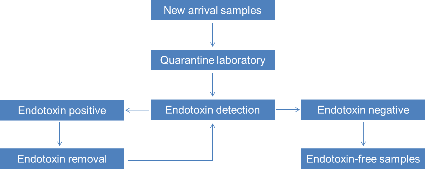 Figure 3. Endotoxin detection and removal services flow chart-Creative Bioarray.