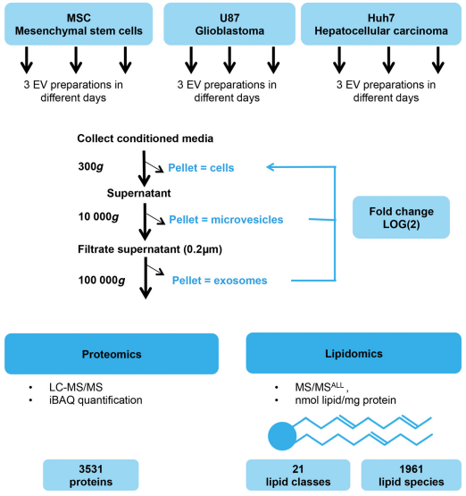 Fig 3. Workflow of EV preparation and mass spectrometry. (Haraszti R A, et al. 2016)