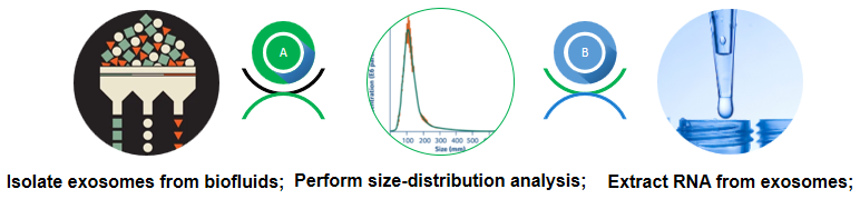 Fig 2. Our exoRNA profiling service process. - Bio-microarray