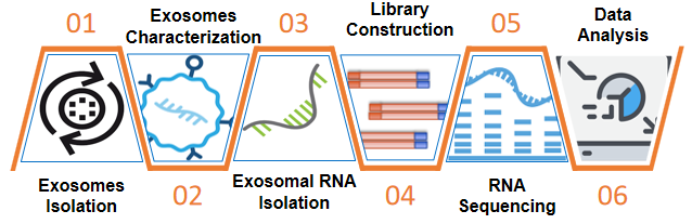 Fig 3. The workflow of exosomal RNA sequencing services. - Bio-microarray