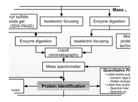 Exosomes Services