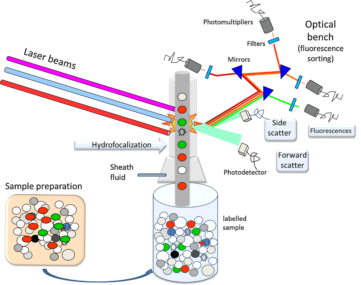 Principles of flow cytometry. (Depince-Berger, et al., 2016)