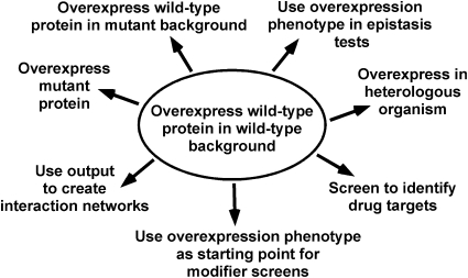 Common uses of overexpression. (Prelich G, et al. 2012)