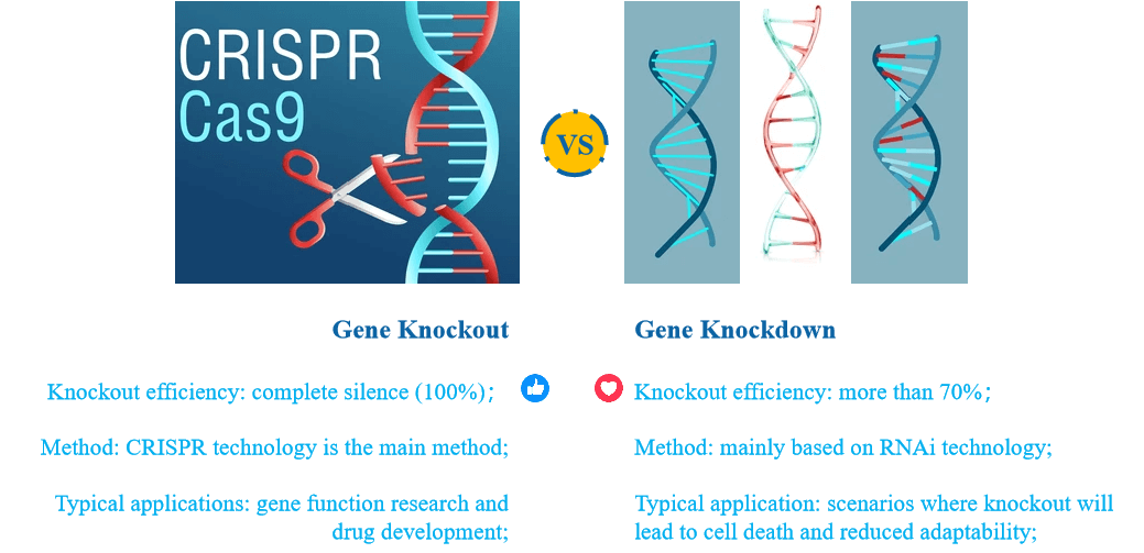 Comparison of gene silencing services. - Creative Bioarray