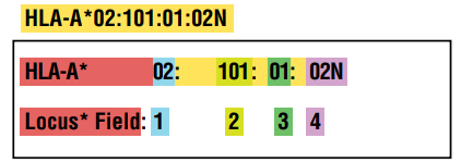 Fig 1. Molecular low-, intermediate-, and high-resolution HLA typing results. (Fung M K, et al. 2015)