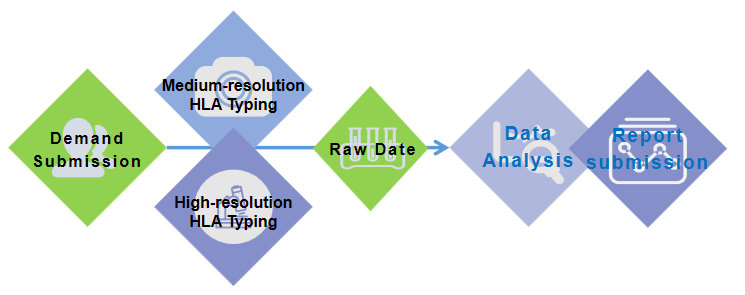Fig 3. HLA typing service for multi-resolution characterization. - Bio-microarray