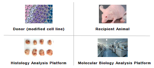 The core element of in vivo verification services.