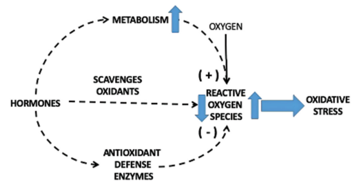 An overview of ROS generation and antioxidant Defence system.