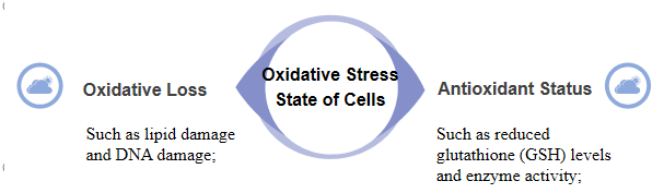 Multi-dimensional assessment of oxidative stress.