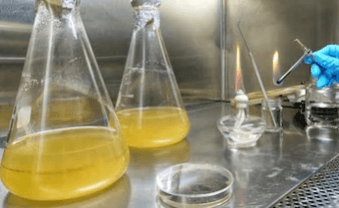 Direct Inoculation Sterility Testing