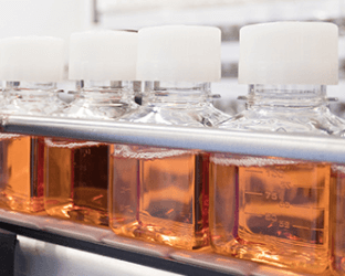 Cell Culture Sera and Replacements
