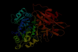 Luciferase Reporter Assays