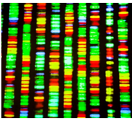 Cell Function Testing Services