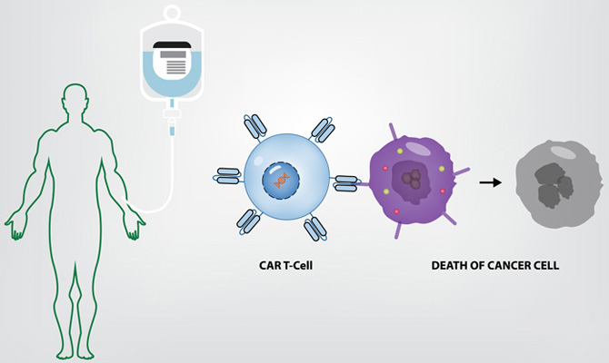 Immune Cell Therapy