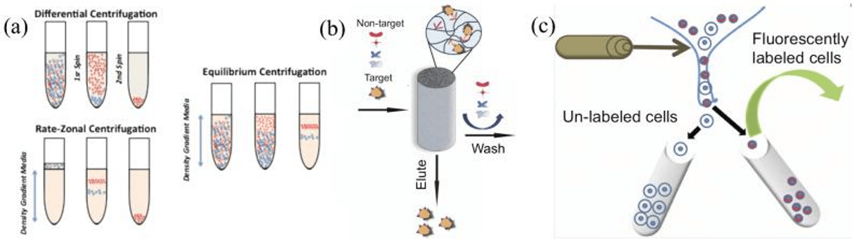 Traditional modes of cell separation currently used in the laboratory and clinic.