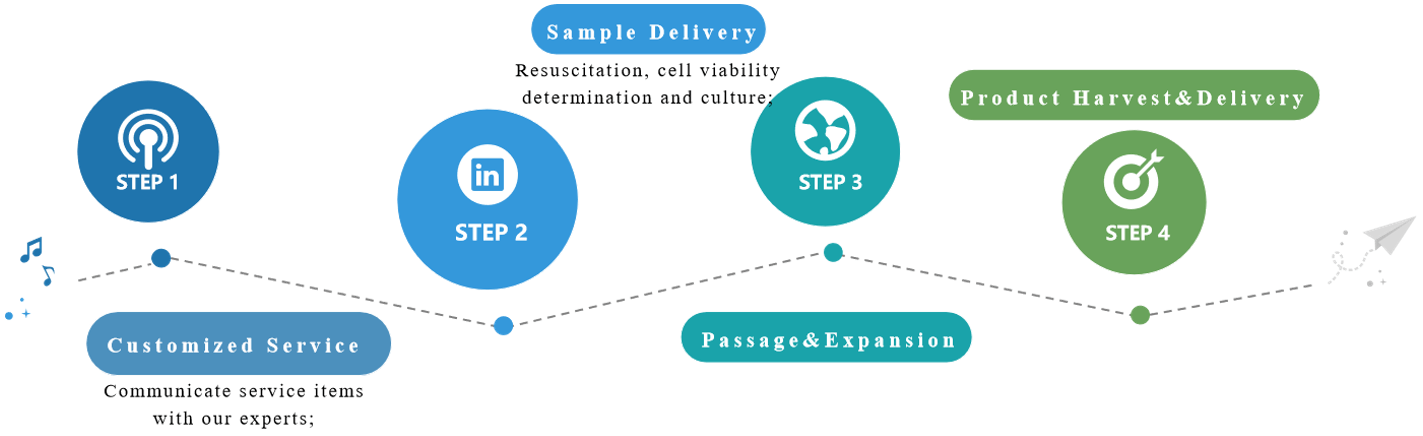 Our large-scale cell culture service process.